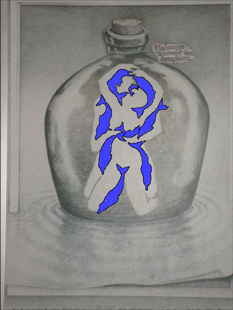 delfines-ilusion-optica-revelada