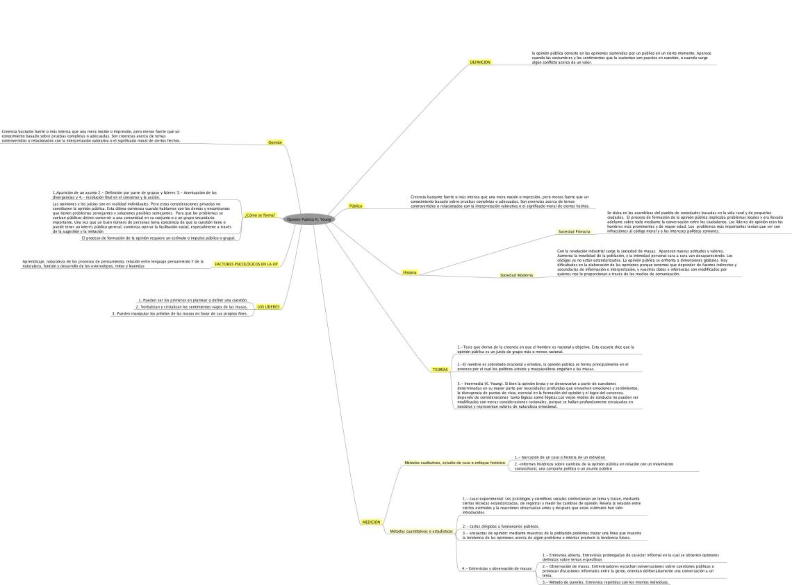 Opinión Pública K. Young
