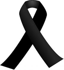 descarga 12.01.24.jpeg